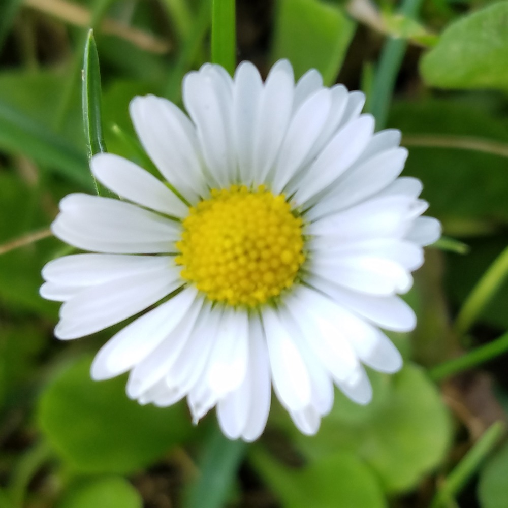 Meet your Posher, Brandee